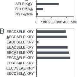 Impact On T Cell Recognition Of Ala Substitutions Within The