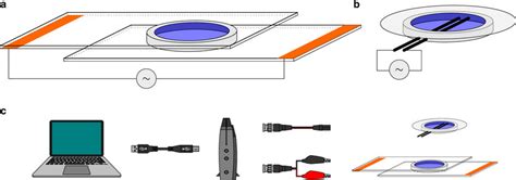 Setup For Electroformation Of Guvs A Schematic Representation Of An