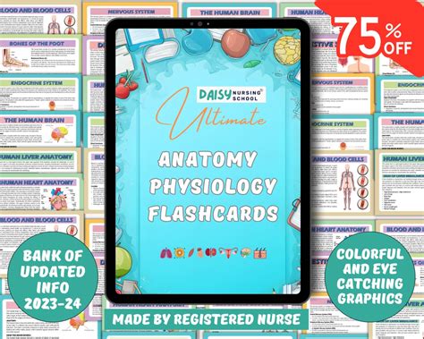 Anatomy Physiology Flashcards Anatomy Flashcards Physiology - Etsy