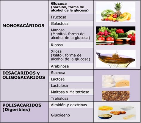 Bioquimica Carbohidratos