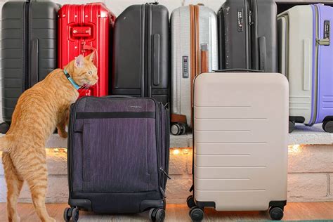 The Greatest Carry On Baggage 2023 + Tips on how to Decide the Proper Suitcase for You ...