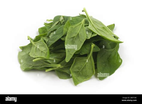 Pile Of Brazilian Spinach Spinacia Oleracea Over A White Background