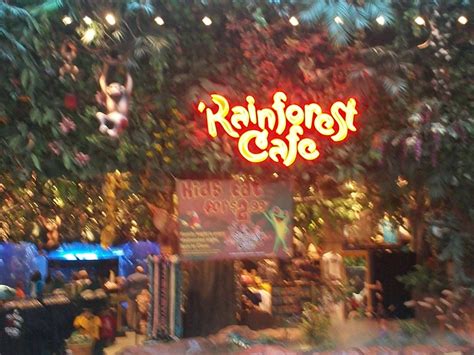 Rainforest Cafe | Places to eat, Rainforest cafe, Cafe