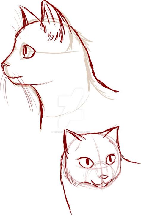 Cat Sketch By Sailorbomber On Deviantart