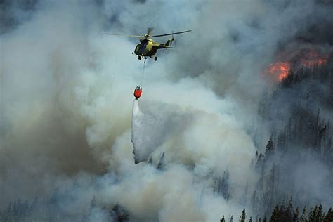 Carabineros Indagar Origen De Incendio Forestal En Cerro De Coyhaique