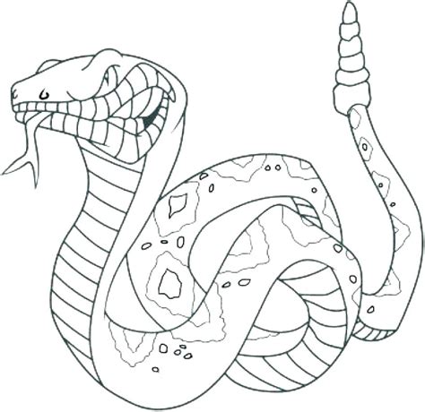 Diamondback Rattlesnake Coloring Page At Free