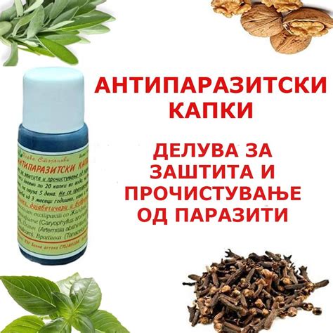 АНТИПАРАЗИТСКИ КАПКИ – Herba Stojanovi