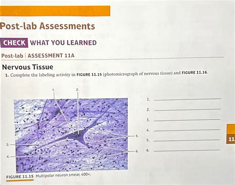 Solved Post Lab AssessmentsWHAT YOU LEARNEDPost Lab Chegg