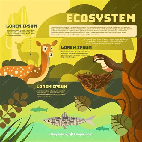 Free Vector | Ecosystem infographic concept