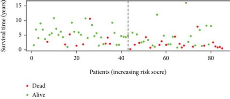 The Construction Of Risk Signature A And B Roc Curve Analysis And