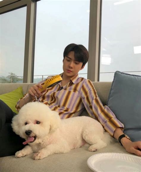 Oh Sehun Exo Vivi Sehun Hewan Anjing