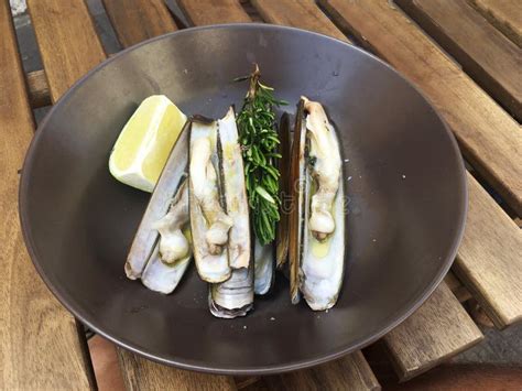 Grilled Razor Clams on the Grill Stock Image - Image of cook, gourmet ...