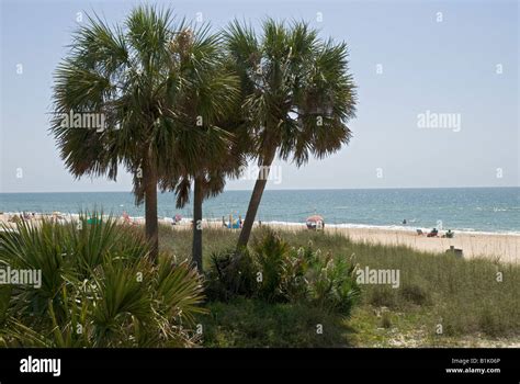 beach along St George Island Florida Stock Photo - Alamy