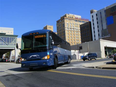 Showbus International Bus Image Gallery Usa Greyhound