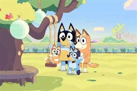 Adults In Tears Over Bluey Episode Which Is Best Television Of The Year Mirror Online