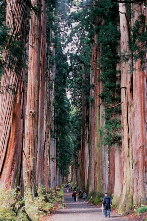 令和5年度 地区展・コンテスト 審査結果発表 長野県高等学校文化連盟 写真専門部