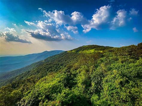 Dajipur Wildlife Sanctuary Radhanagari Kolhapur