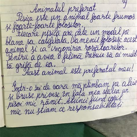 Compunere despre animalul preferat în care sa se afle enumerațiii și sa