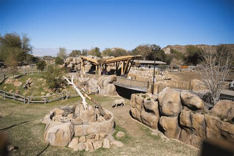 30 Best & Fun Things To Do In Carlsbad, NM (2024) - Chief Tourist