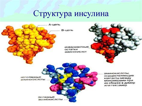 Биохимия гормонов. Механизм действия гормонов белковой и пептидной ...