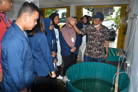 Mahasiswa Ubh Belajar Budidaya Ikan Bilih Di Area Konservasi Pt Sp