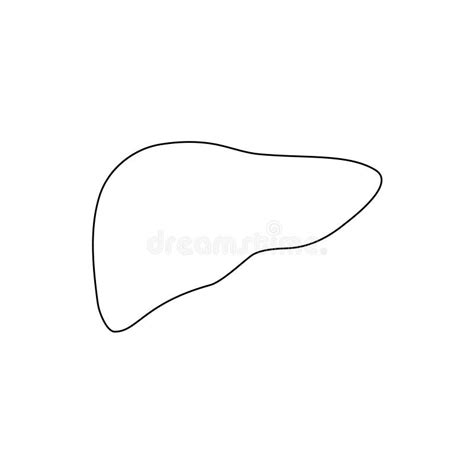 Liver Line Icon People Liver Outline Black Shape Vector Illustration Stock Vector