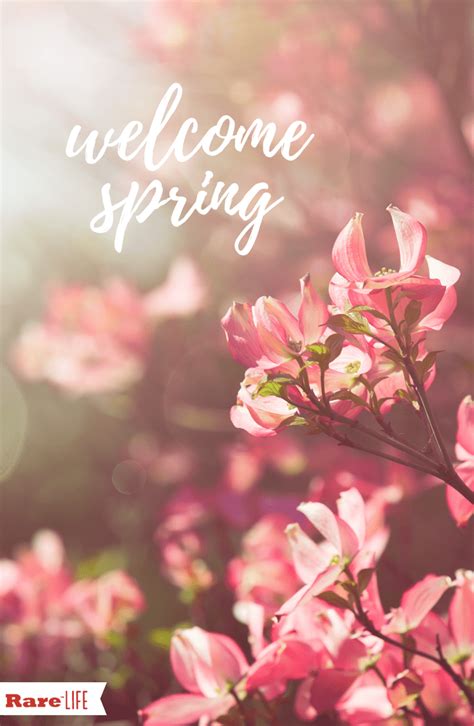 Welcome Spring Wallpapers - Top Free Welcome Spring Backgrounds ...