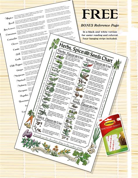 11x17 Laminated Cooking Herbs Chart - Etsy