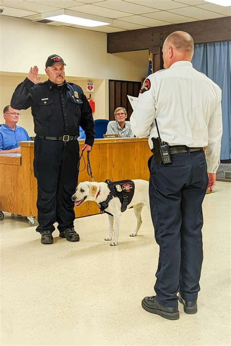 District Welcomes Accelerant Detection Canine Denali - El Dorado County ...