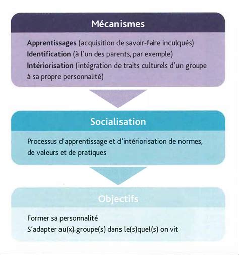 1 Illustrez Les Différents Mécanismes De Socialisation Par Des Exemples