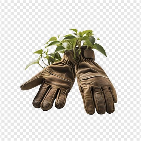 Guantes de jardinería aislados sobre un fondo transparente Archivo