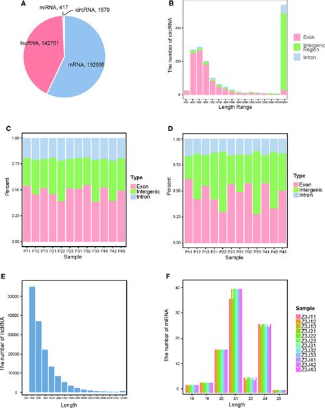 Characterization Of RNAs A The Number Of Each Type Of RNA In All