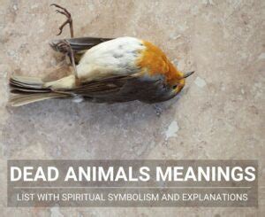 The Huge List Of Dead Animals And Their Spiritual Meanings