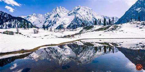 Thajiwas Glacier Trek | Gracious short trek in Kashmir