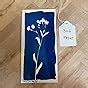 Amazon Jacquard Cyanotype For Photographic Blueprints On Paper