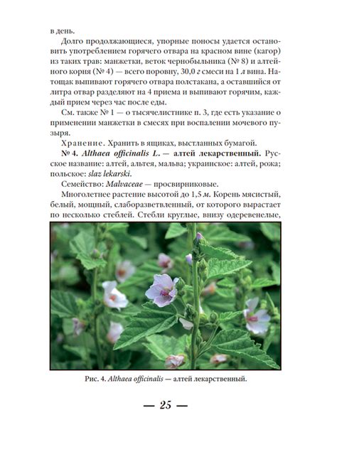 Лекарственные растения и способы их применения в народе. (цвет) Носаль М.А.
