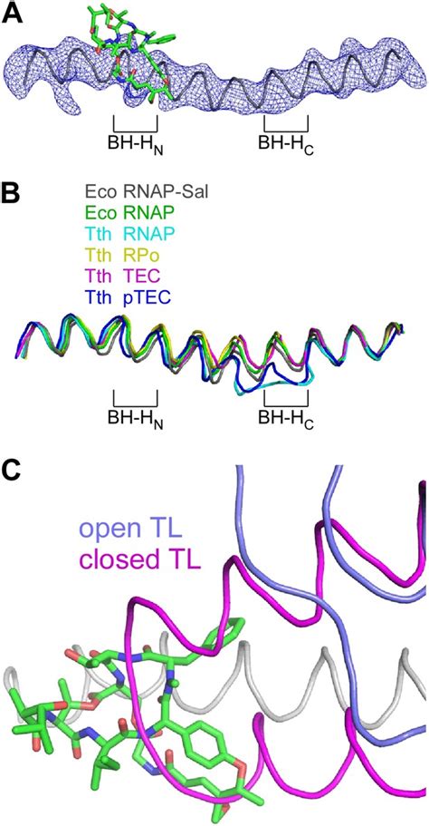 Transcription Inhibition By The Depsipeptide Antibiotic Salinamide A