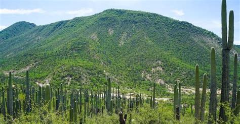 Notigape M Xico Entre Los Patrimonios Mundiales De La Unesco