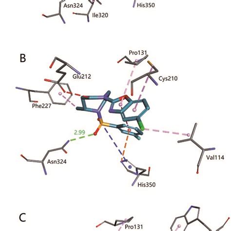 A D Interaction Diagram Of Suvorexant With Ox R B D Interaction