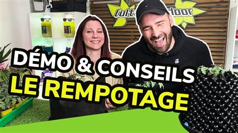 Guide Complet Du Rempotage Techniques Astuces Et Conseils Pour Des