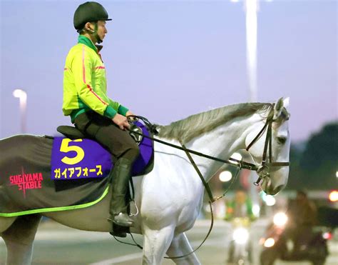 【菊花賞】前日最終オッズの単勝1番人気はセントライト記念を制したガイアフォースの3・6倍 Umatoku 馬トク