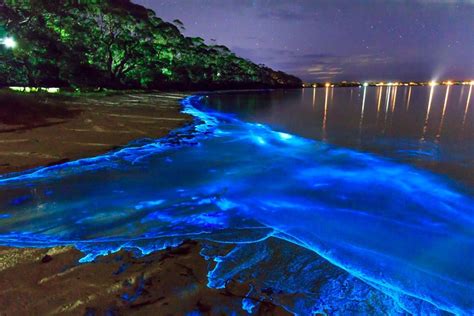 Playas con bioluminiscencia en México cuáles son y dónde están