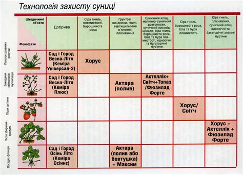 Обработка деревьев от вредителей и болезней