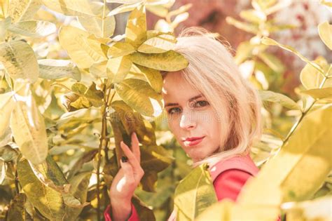 Portrait Of A Blonde Next To A Red Orange Bush In Autumn The Concept Of The Autumn Season Stock