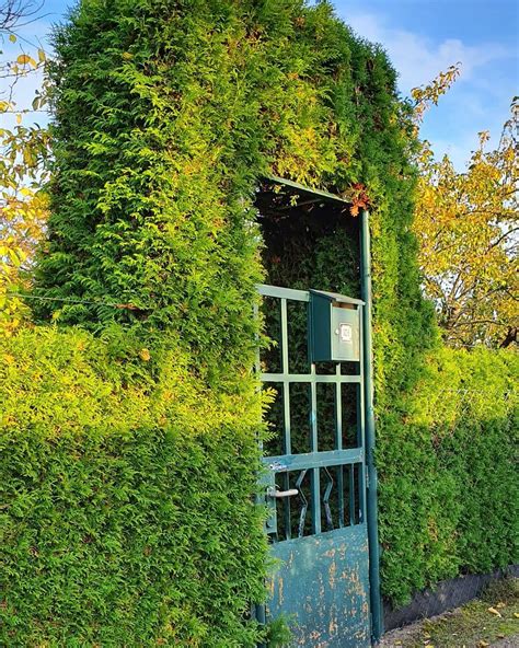 20 Gorgeous Garden Gate Landscaping Ideas