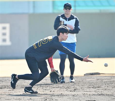 【阪神】ドラフト3位山田脩也 1、2軍合同紅白戦で「名前をアピールしたい」 プロ野球写真ニュース 日刊スポーツ