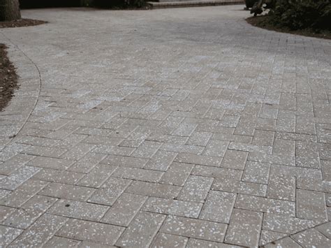 Tabby Shell Pavers A Timeless Look With Lowcountry Heritage