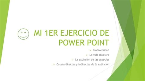 Mi 1 Er Ejercicio De Power Point PPT