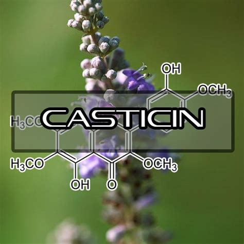 Benefits Of Casticin Interstellar Blends Activate Your Super Powers