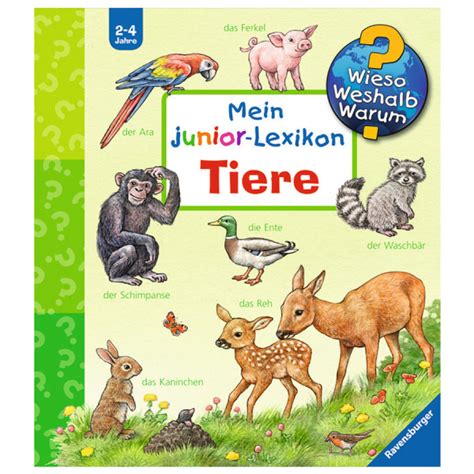 Ravensburger Wieso Weshalb Warum Sonderband Mein Junior Lexikon